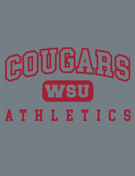 Load image into Gallery viewer, Cougars Athletics Long Sleeve Tee
