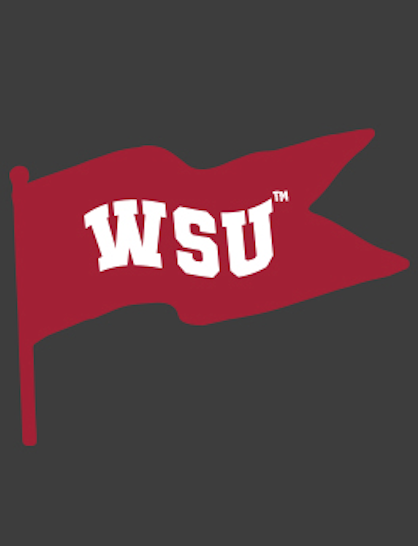 Load image into Gallery viewer, Game Day WSU Way Tee
